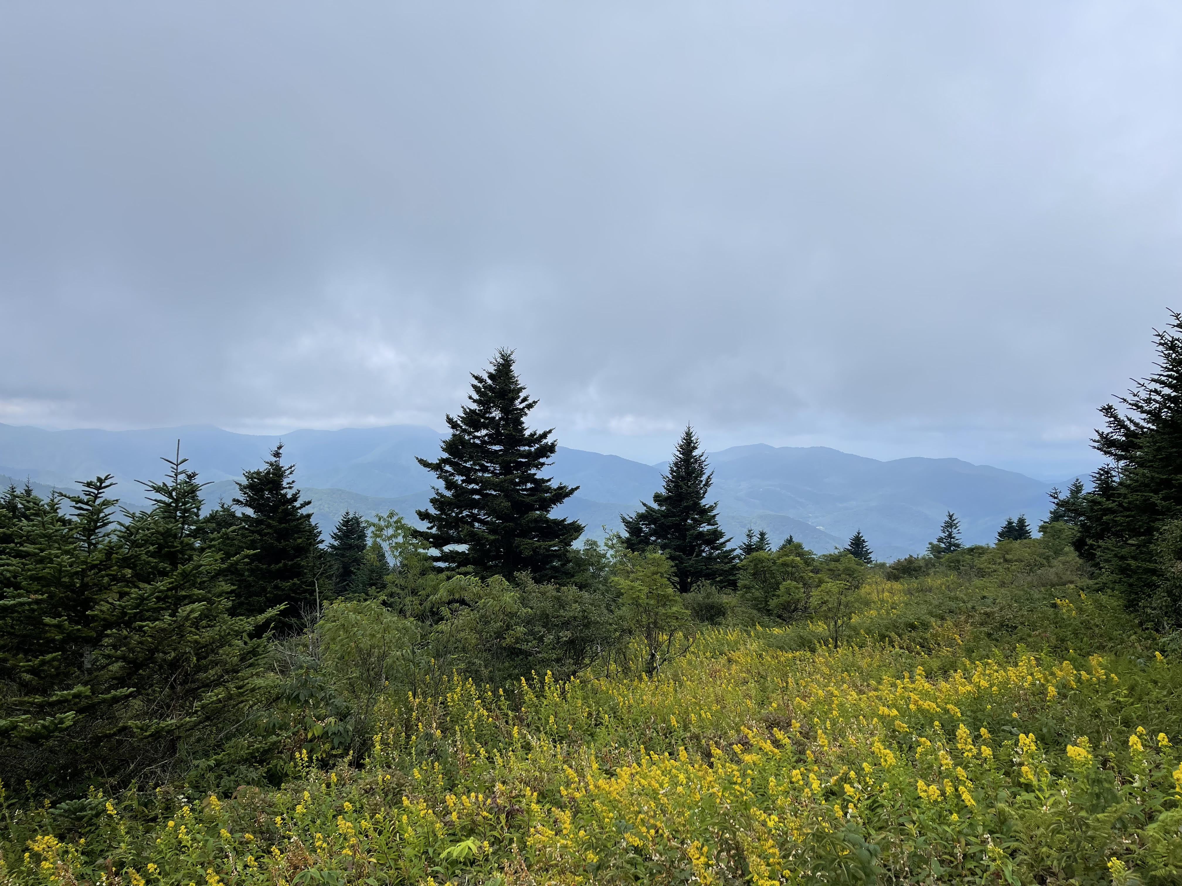 Crest view